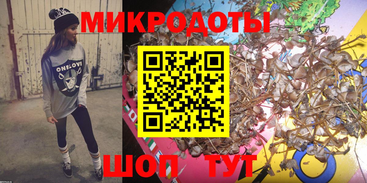 Псилоцибиновые грибы GOLDEN TEACHER Гусь-Хрустальный